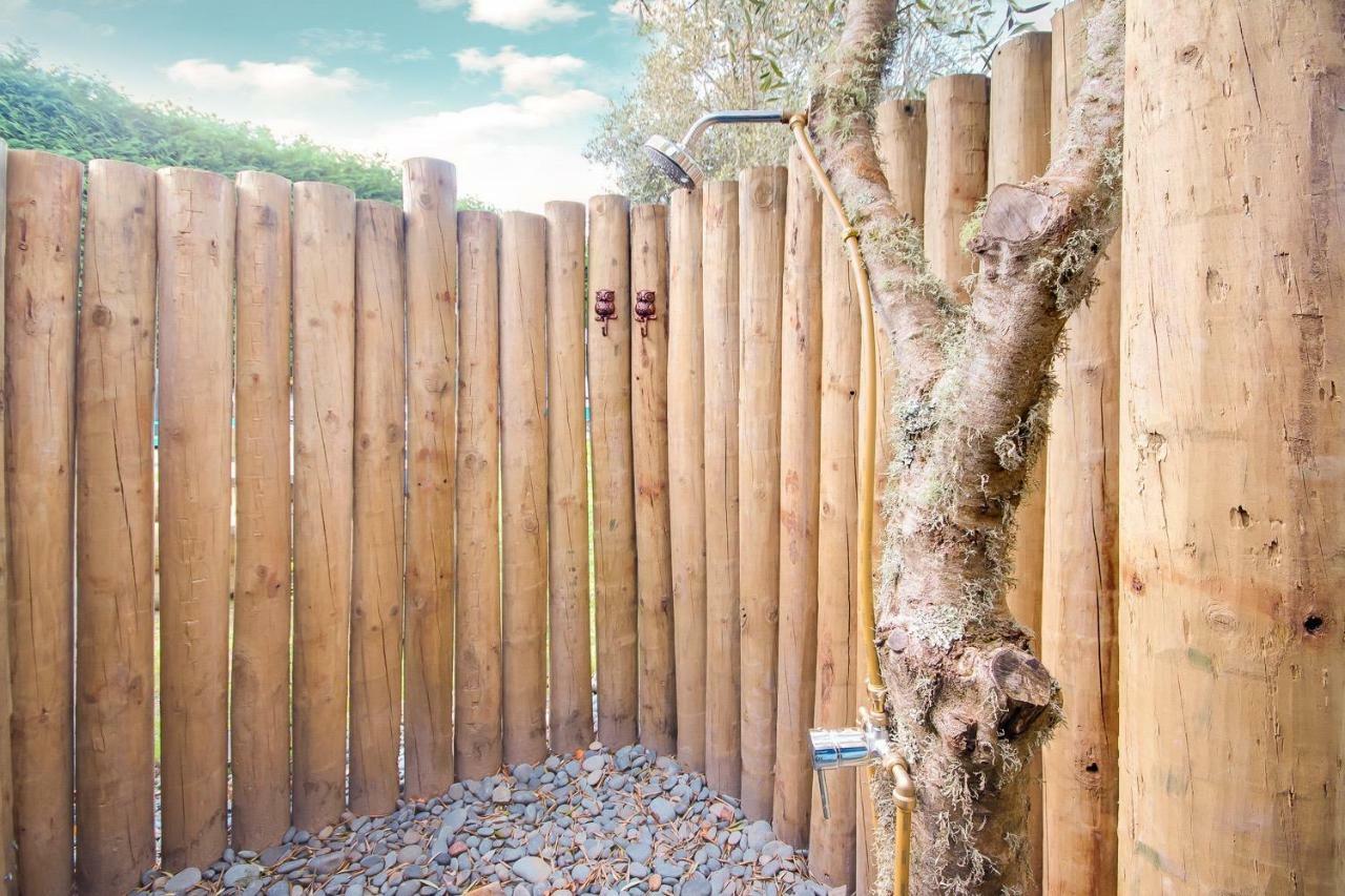 Mountviews Glamping- Retro Caravan Getaway Hotel Taupo Exterior photo